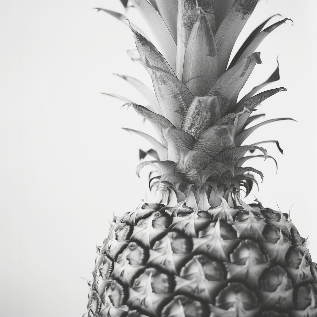 Black and White Pineapple Canvas Wall Art – Modern, Chic & Refined