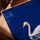 Textured white swan art print with orange beak detail, serene blue water and shimmering gold accents