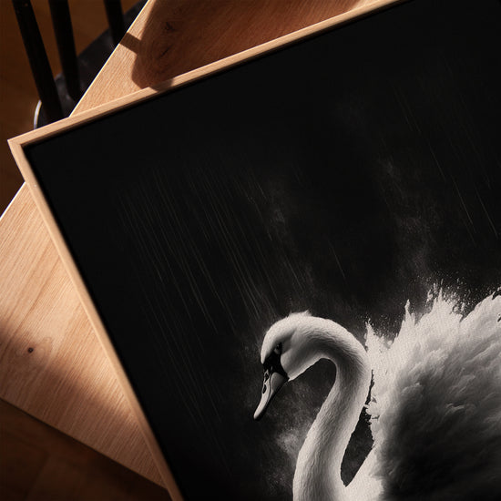 Cygne noir et blanc tableau mural salon cadre chêne doré