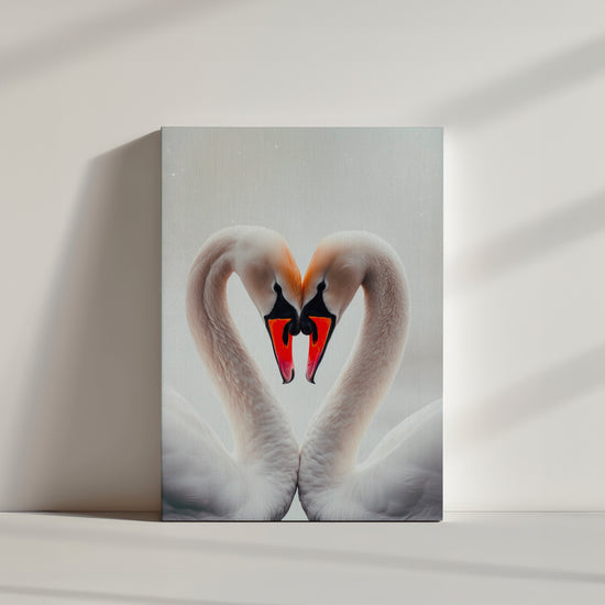 Two swans forming a heart with their necks and heads touching; soft, blurred background in white and cream tones