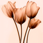 Tulipe marron clair capturée sur toile : essence de modernité et poésie