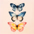 Une œuvre d'art représentant trois papillons superposés, allant du bleu foncé au jaune rosé