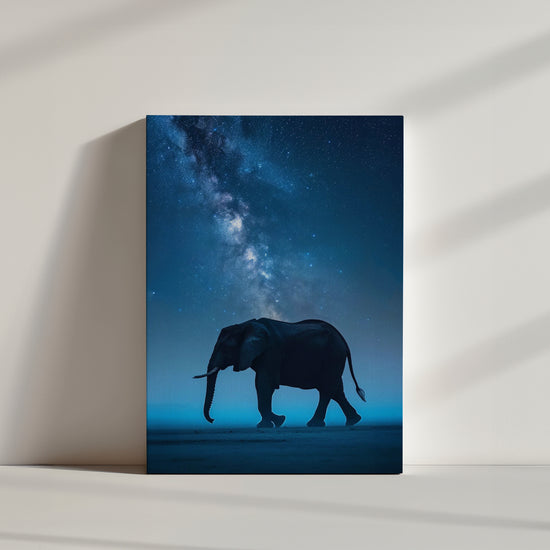 toile photographie éléphant qui se déplace de profil, paysage nocturne bleu nuit, étoilées.