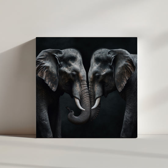 Photograph capturing two elephants hugging, a tender moment between the animals