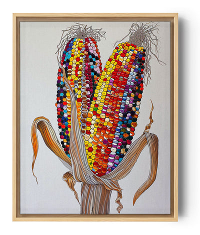 Tableau représentant deux épis de maïs aux grains multicolores vifs : jaune, rouge, violet, orange, rose, bleu. Les grains sont dessinés avec un effet de relief brillant. Les feuilles sèches, détaillées en traits bruns et beiges, entourent la base. Le fond blanc uni met en valeur les couleurs éclatantes