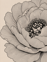 Tableau fleur pivoine dessin au trait noir sur fond beige art mural botanique décoratif