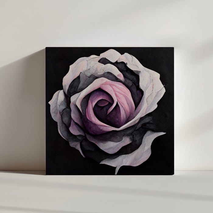 Stunning flower with pale pink petals against a black background