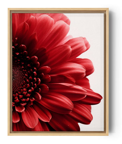 Lienzo fotográfico de una flor roja