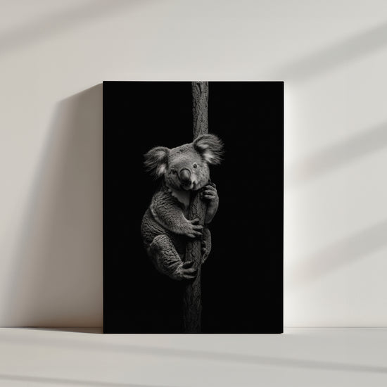 Monochrome koala portrait holding a tree trunk, gentle, curious look on a pure black background for dramatic contrast