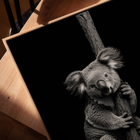 Black and white koala wall art for living room, framed in golden oak