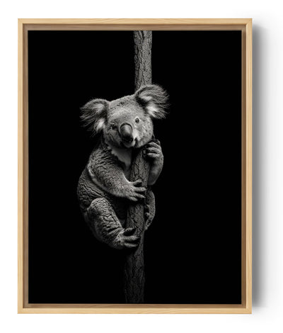 ein Koala in Schwarz-Weiß, der sich an einen Baumstamm klammert, mit einem sanften und neugierigen Blick zum Betrachter. Der Hintergrund ist vollständig schwarz, was die Silhouette und die Details des Koalas hervorhebt.