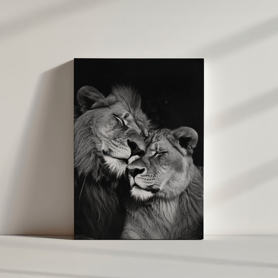 Photographie noir et blanc d'un lion et lionne qui s'enlacent