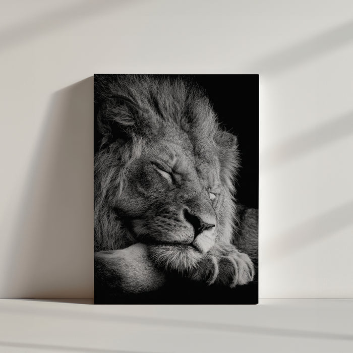 Tableau lion majestueux noir et blanc photo réaliste posé au sol ambiance minimaliste épurée