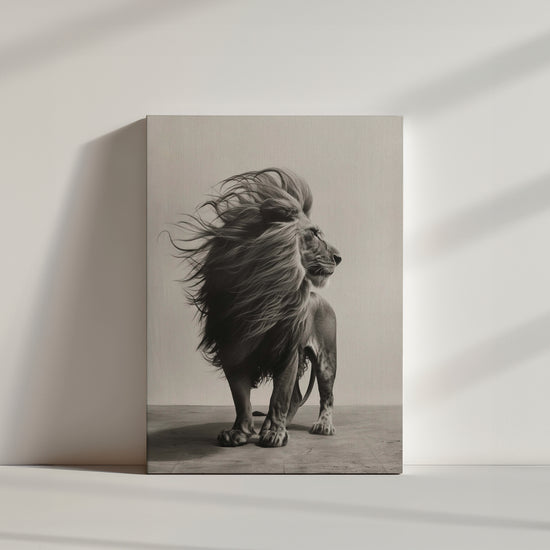 Monochrome lion wall art with windswept mane, wildlife photo print