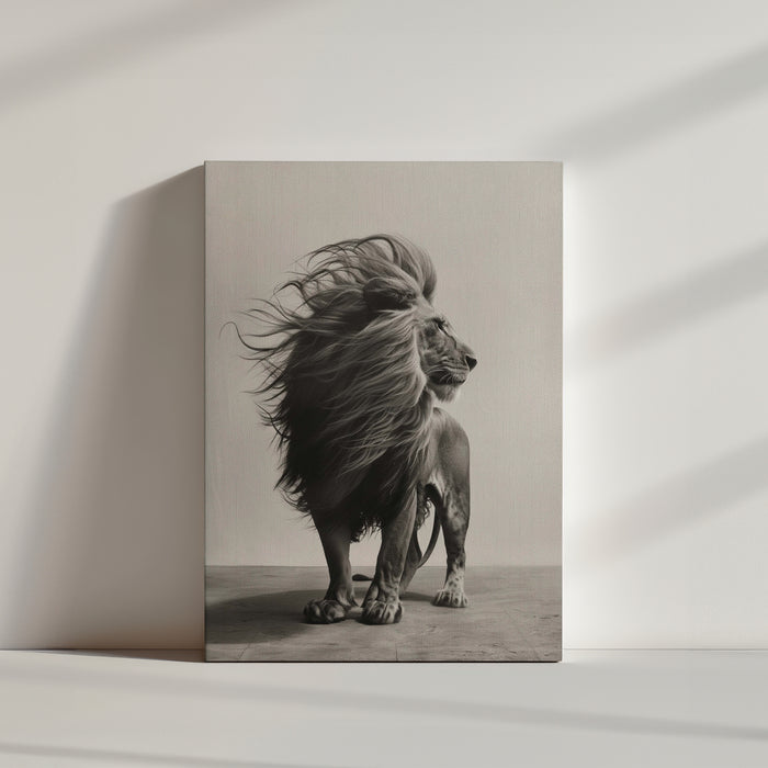 Monochrome lion wall art with windswept mane, wildlife photo print