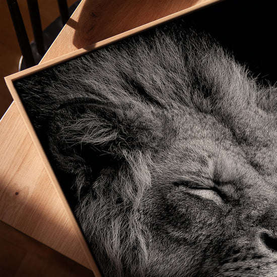 Tableau lion majestueux noir et blanc photo réaliste avec cadre chêne doré salon décoratif