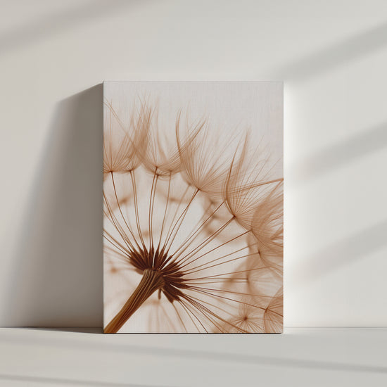 Détail macro d'une fleur de pissenlit aux teintes sépia et translucides.