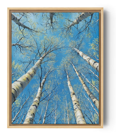 Wandbild Birken: weiße Stämme nach oben vor blauem Himmel, entspannendes Naturmotiv
