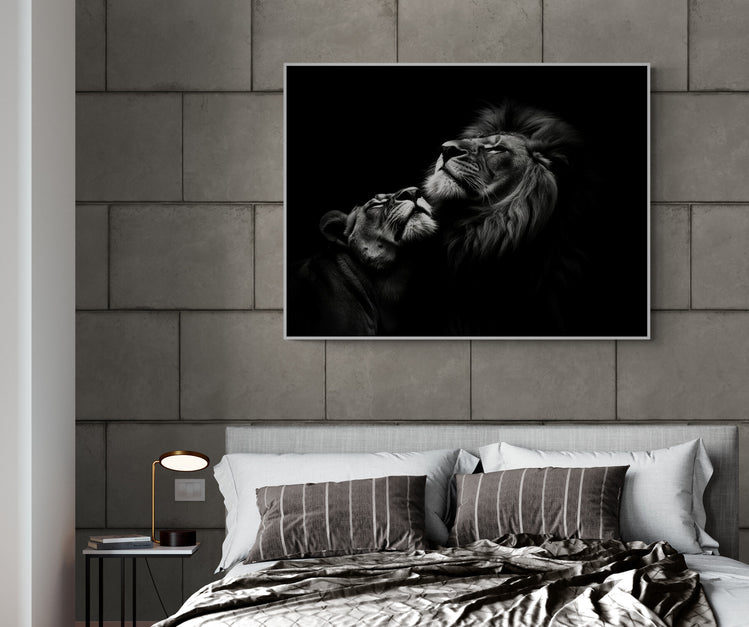 Un cadre avec une photographie monochrome d'un lion et lionne qui se font un câlin