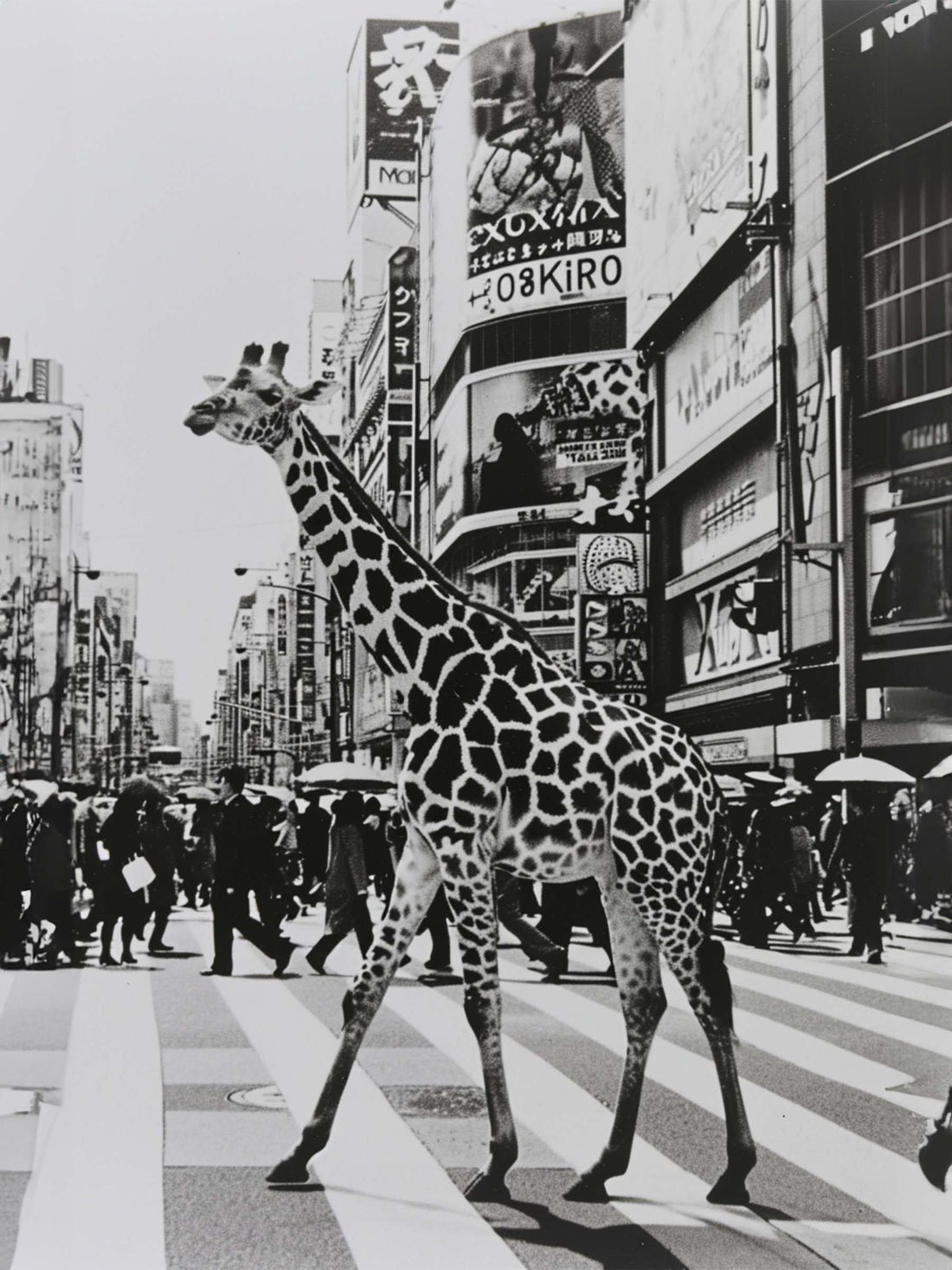 Tableau Girafe urbaine - Évasion citadine