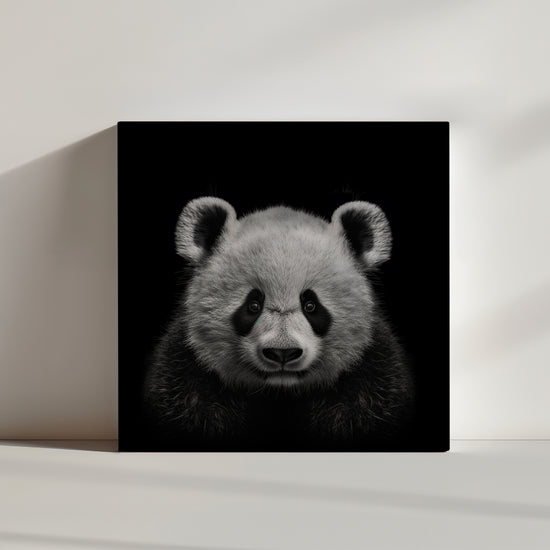 Black and white front-facing panda canvas print wall art