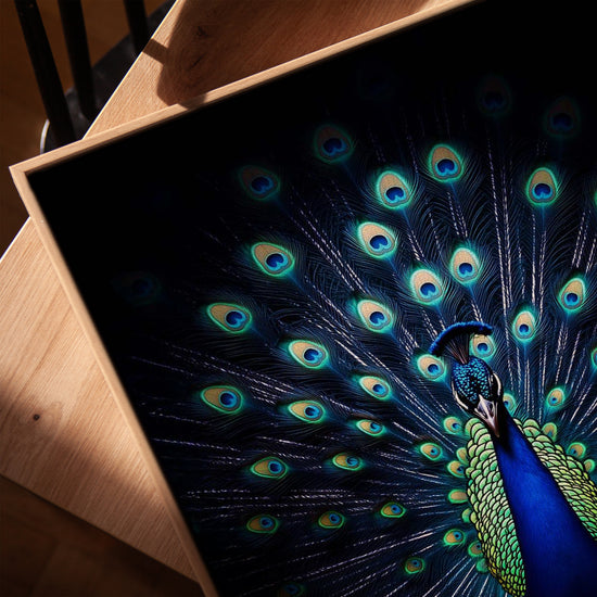 Majestic peacock canvas wall art for living room, textured canvas with a golden oak frame