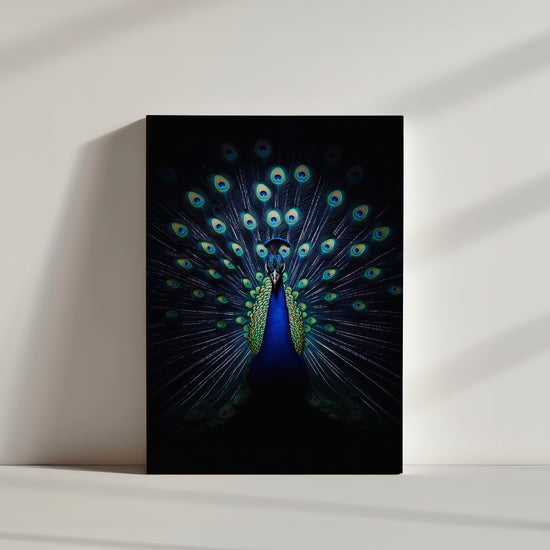 Peacock tail fan display with brilliant blue-green eye motifs glowing against a black backdrop - detailed, high-contrast peacock art print