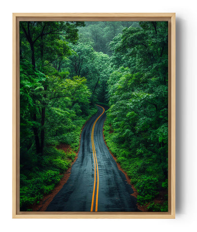 Carretera sinuosa en el bosque, cuadro naturaleza verdeante, serenidad y evasión