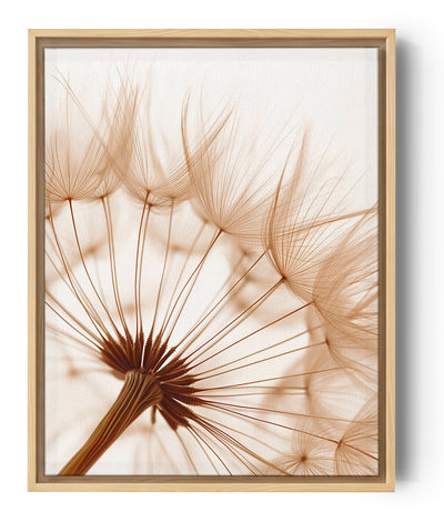 Détail macro d'une fleur de pissenlit aux teintes sépia et translucides.
