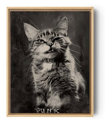 Fotografía en blanco y negro de un gato de mirada expresiva, collar visible y fondo oscuro. Estilo grunge con el texto "Punk" en la parte inferior.