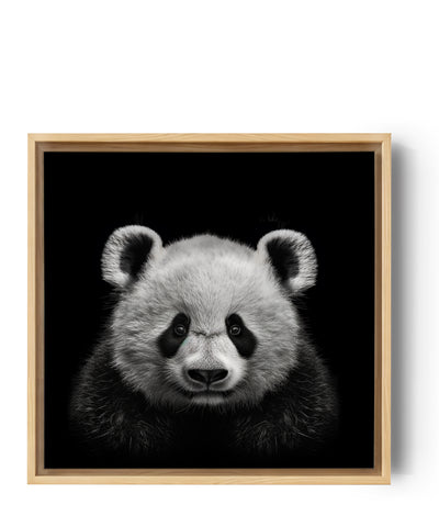 Black and white front-facing panda canvas print wall art