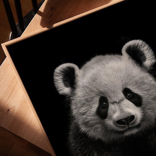 Black and white panda portrait canvas wall art for a minimalist living room