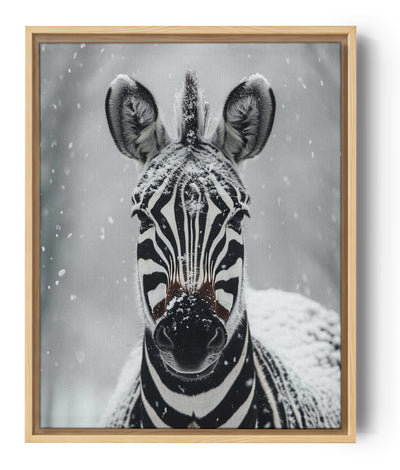 Fotografía del rostro de una cebra, captada en primer plano, con copos de nieve que salpican su pelaje blanco y negro