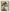 Tableau zen bonsaï japonais sur fond beige abstrait, art mural apaisant nature minimaliste