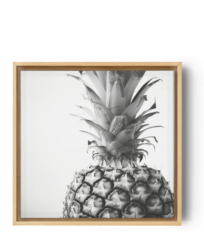 lienzo piña monocroma, fotografía sobre fondo blanco.