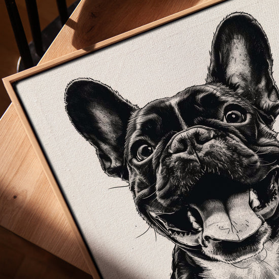 Black and white French Bulldog portrait canvas wall art for minimalist office