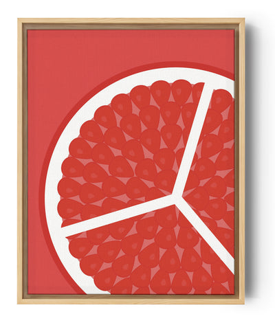 Sur un fond rouge, une illustration en 2D vue de face d'une tranche de grenade couleur rouge vif et de ses graines pulpeuses que l'on nomme les arilles