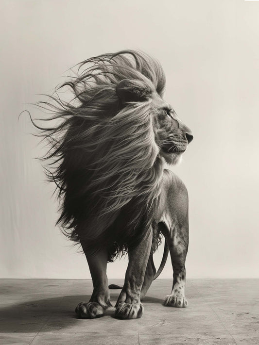 toile animal sauvage vent, noir et blanc, photographie.