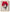 toile, visage de femme, trait de crayons, roses dans les cheveux.