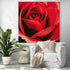 Large red rose wall art in a modern living room with a white chair and green plant, adding a touch of love and romance
