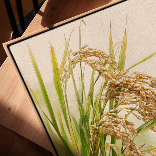 Botanical canvas print of golden rice stalks for a minimalist kitchen