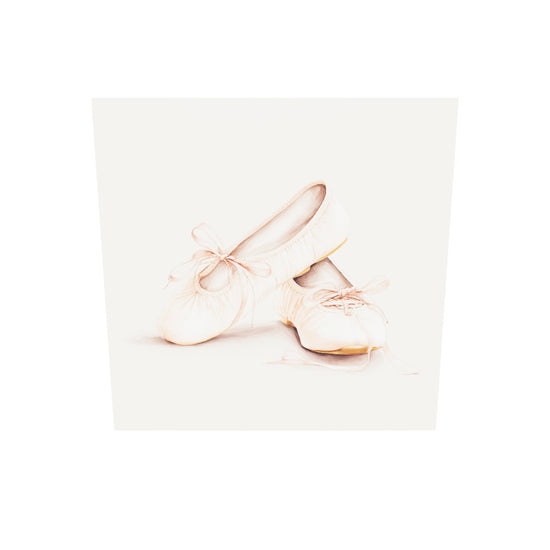 tableau plexiglas chaussure de ballerine