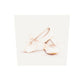 tableau plexiglas chaussure de ballerine