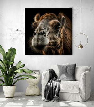 Captivating camel portrait: customizable artwork for living room, elevate, travel.