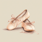 tableau de décoration illustration chausson de danseuse ballerine