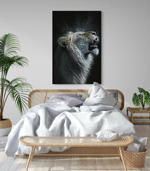 Canvas photo of roaring white lion in bedroom