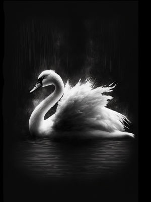 white swan canvas on black background, minimalist, abstract