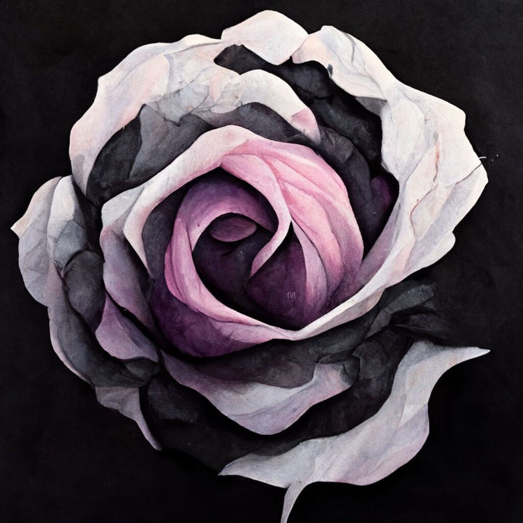 une magnifique fleur avec ces pétales rose pâle sublimée par un fond noir
