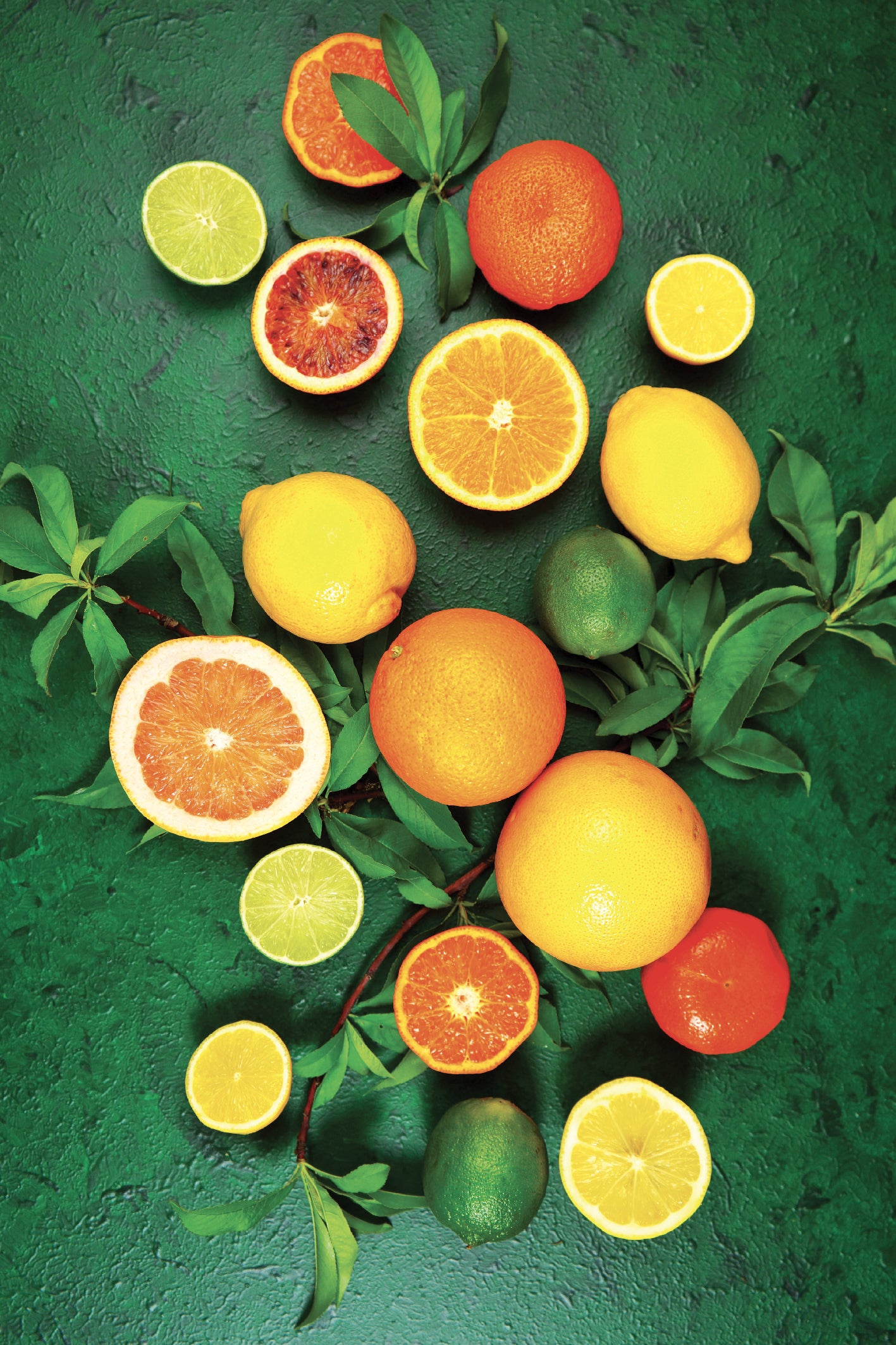tableau de fruits avec des oranges et citron jaune et vert 