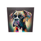 Tableau plexiglas chien boxer en pop art, peinture multicolore